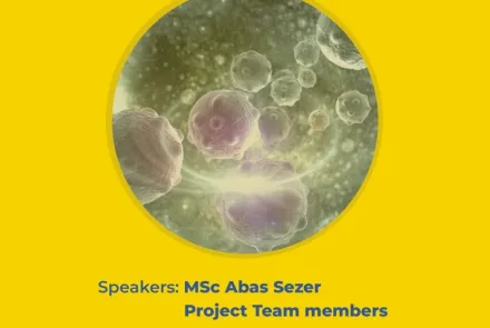 In Vitro Evaluation of Novel Therapeutics in Lymphoma Treatment - Dissemination of Project Results