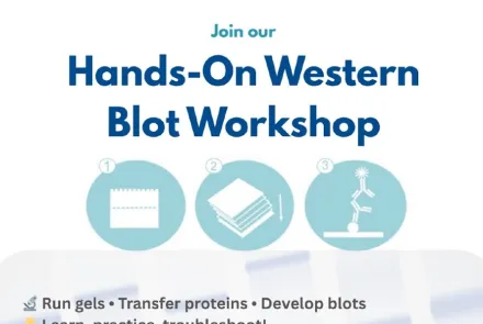 Hands-On Protein Analysis Workshop