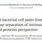 GBE Master Students Publish Research Article in Current Research in Structural Biology (Elsevier)